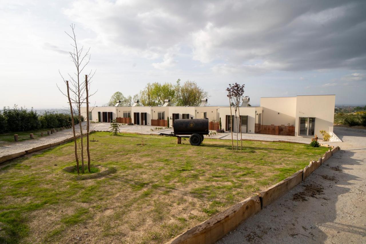 Quinta Chao Da Bispa Oliveira do Hospital Bagian luar foto